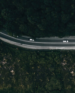 Aerial top view forest tree, Rainforest ecosystem and healthy environment concept and background, Texture of green tree forest view from above.